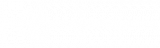 Property Link Services